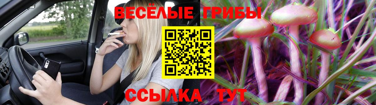 Нововоронеж  Галлюциногенные грибы прущие грибы  Вход с VPN  Псилоцибиновые грибы Magic Shrooms 